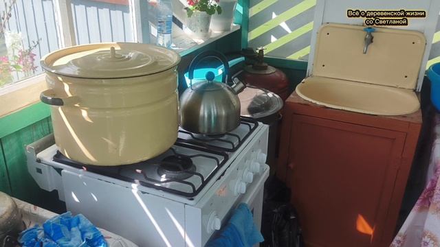 Посадили гортензию,разобрали навес ,съездили к реке.