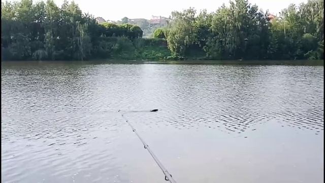 БОБРИШКА!!!