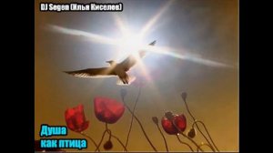 DJ Segen(Илья Киселев) Душа как птица