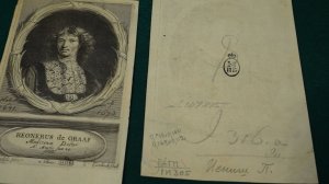«Загадочные знаки на гравюрах из коллекции Ровинского-Гассинга»