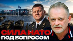 ЗОЛОТАРЕВ Андрей. Залужный и НАТО: где слабое место альянса - Андрей Золотарев