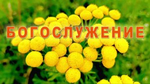 Богослужение церкви христиан Адвентистов седьмого дня г. Протвино 01.08.2026 г.