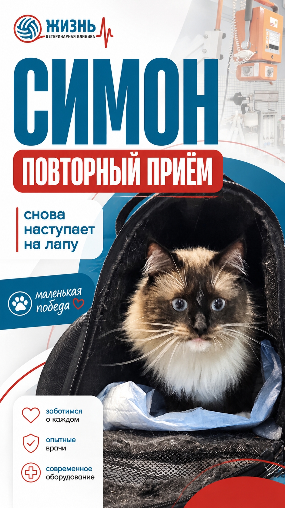 Ветеринарная ортопедия в Калужской ветеринарной клинике Жизнь.