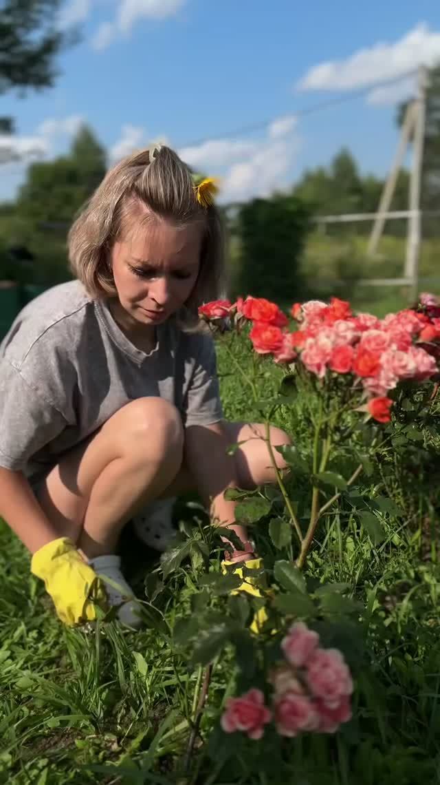 🌸🌺🌼