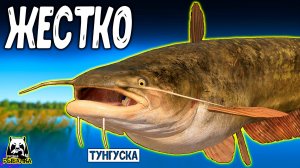 Снасти разрывались! Жесткая охота на Тунгусского гиганта #рр4