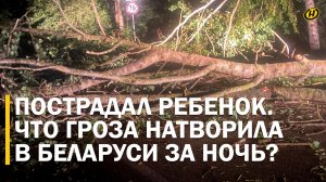 МОЛНИЯМИ ОБЛОЖЕНА ВСЯ ХАТА БЫЛА. Белорусы вспоминают ночную грозу, как кошмар. Что натворила стихия?