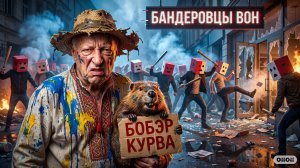 SOS💀🍄 Польша: Украина должна воевать постоянно,НАС бьют на улицах, но МЫ должны защитить Варшаву