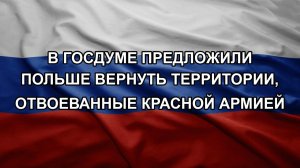 В Госдуме предложили Польше вернуть территории, отвоеванные Красной армией