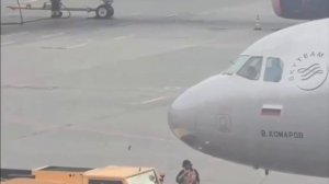 Две дивы на каблуках каким-то образом проникли в зону взлета в Шереметьево