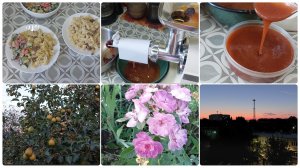 Заготовка на зиму 🔥 Довольная как слон / Сок из сливы с помощью соковыжималки / На даче