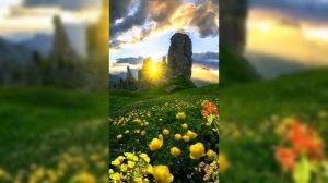 Красивая природа.Релакс.