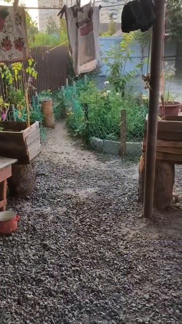 ДОБРОЕ УТРО СТРАНА!