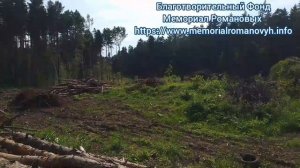 Лес в жд лесопарке Екатеринбурга рубанули под расширение Западного кладбища.А компенсационные где?
