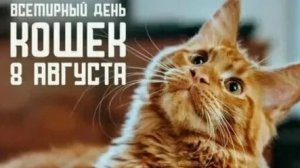 С днём кошек. Красивая музыкальная открытка.