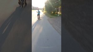 Зб