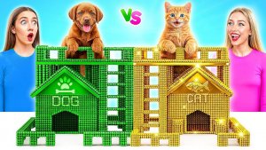 Строим Секретные Домики для Животных _ Богатая Кошка vs Бедная Собака