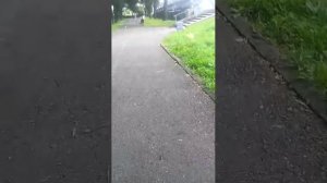 стрим всем привет