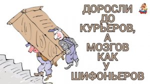 ДОРОСЛИ ДО КУРЬЕРОВ, А МОЗГОВ, КАК У ШИФОНЬЕРОВ