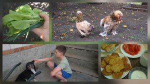 #22 Наша жизнь в Краснодарском крае. Продолжаем заниматься ремонтом. Наши питомцы. Танцы🕺