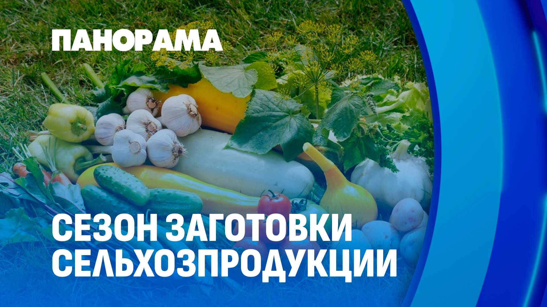 Где белорусы могут продать излишки урожая? Панорама