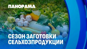 Где белорусы могут продать излишки урожая? Панорама