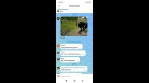 кому понравились римодели?