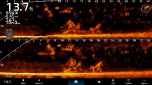 Lvs32 vs lvs42HD разделение целей