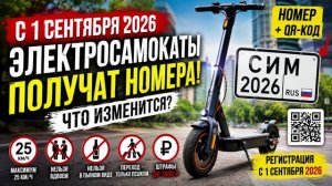 Электросамокаты получат номера!