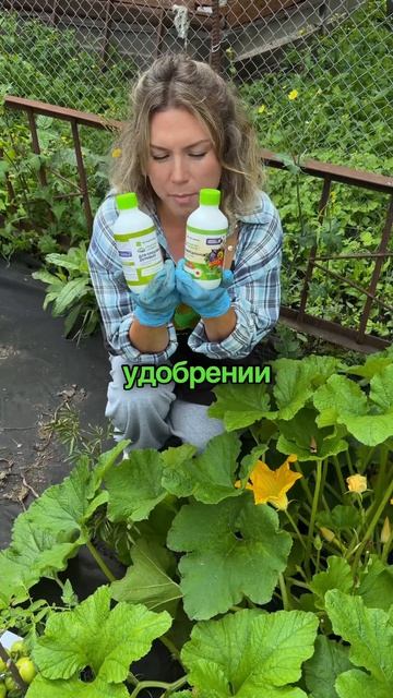 Что нельзя делать в огороде в августе?