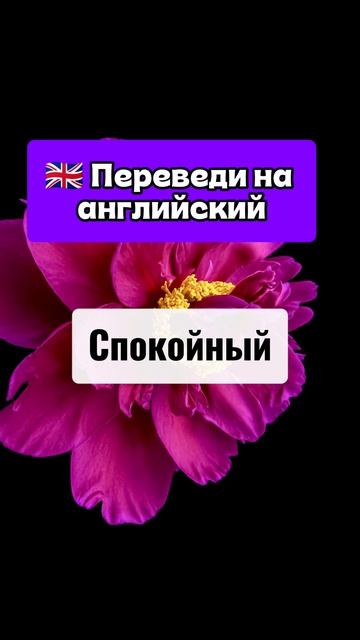 Переведи на английский язык слова 2.