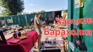(tiana antikvar)СТАЛО ПЛОХО 😥 ПЕРЕЖИЛИ ЭТУ НОЧЬ 🙏 ВОЛКА НОГИ КОРМЯТ 🤷♀️