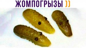 ЖОМПОГРЫЗЫ))) Приколы