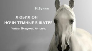 Стихотворение «Любил он ночи темные в шатре...». Иван Бунин. Читает Владимир Антоник