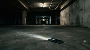 Я услышал это у дома... Хоррор в реальной жизни