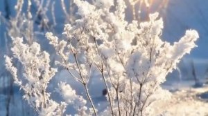 МОРОЗНОЕ УТРО