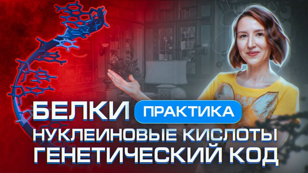 БОЛЬШАЯ ПРАКТИКА | Белки, нуклеиновые кислоты и генетический код | ЕГЭ-2025 по биологии