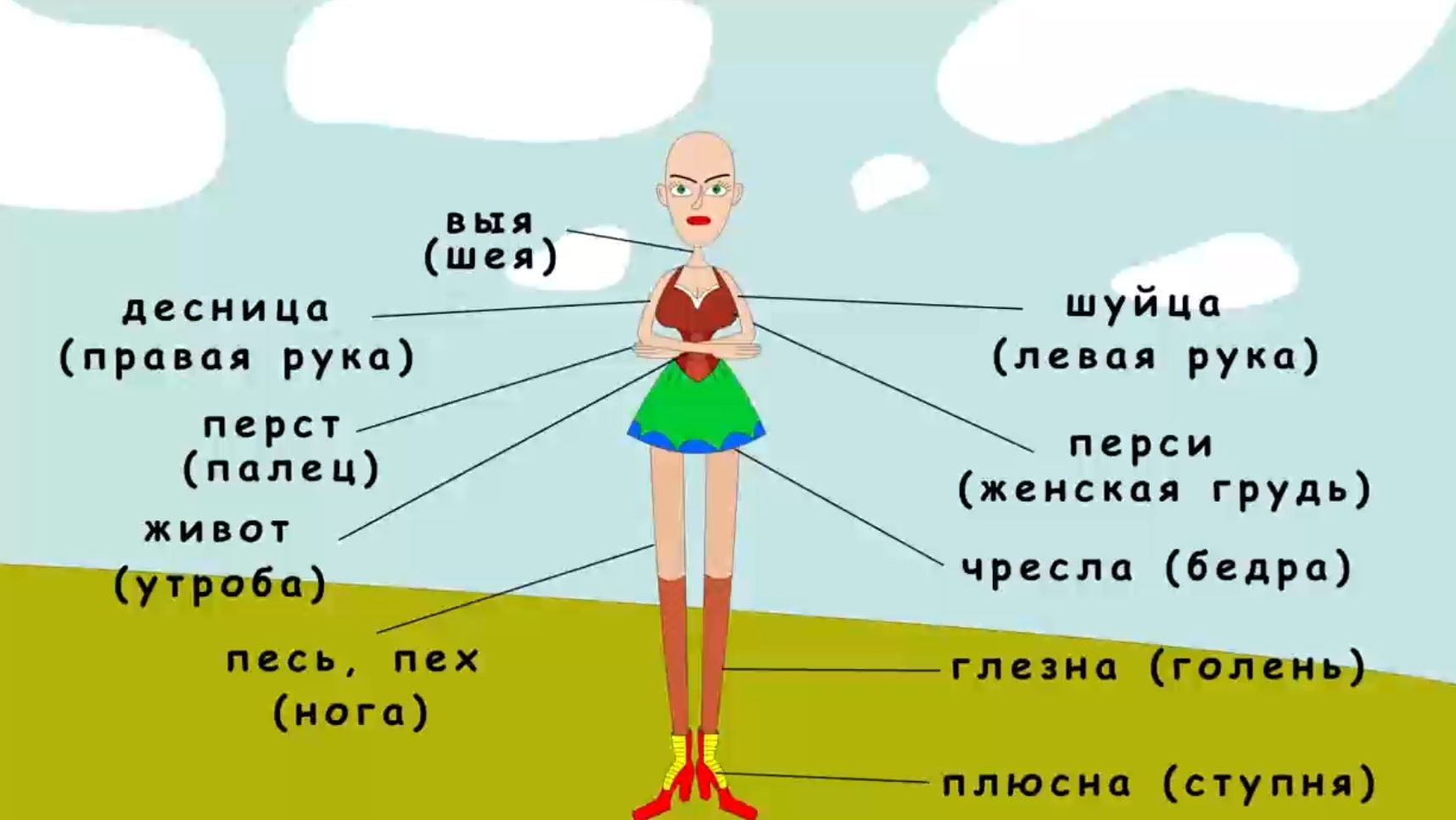 Анатомия по-древнерусски. Учим старинные названия частей тела
