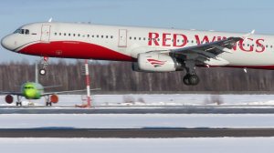 День для съемки в Домодедово, посадки крупным планом, 01.02.21.