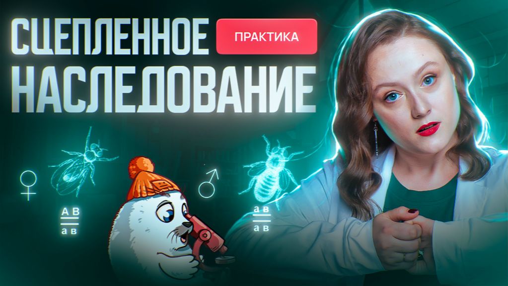 Генетика. Сцепленное наследование | Решение задач | ЕГЭ-2025 по биологии