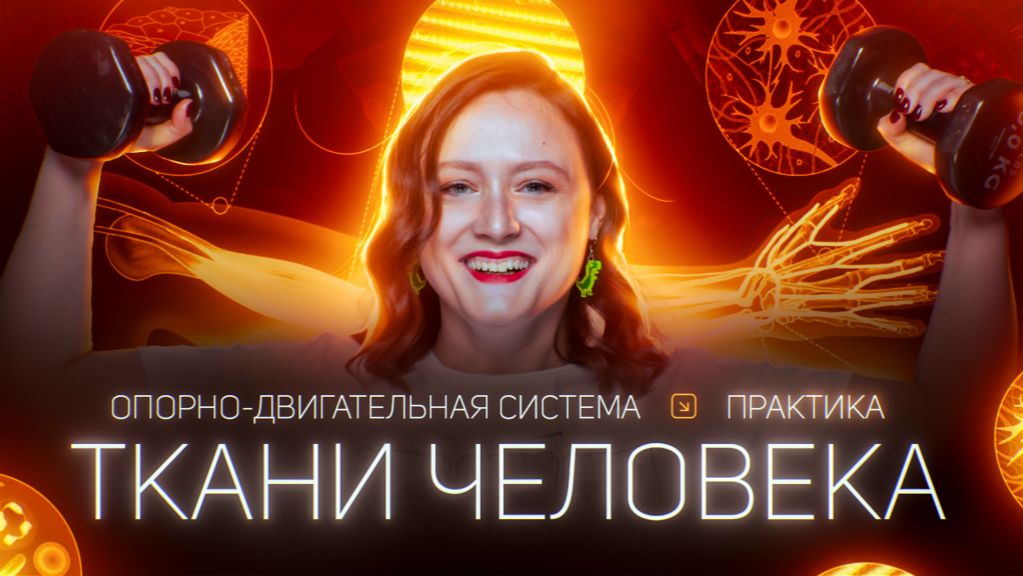 Ткани человека. Опорно-двигательная система человека. Практика | ЕГЭ-2025 по биологии