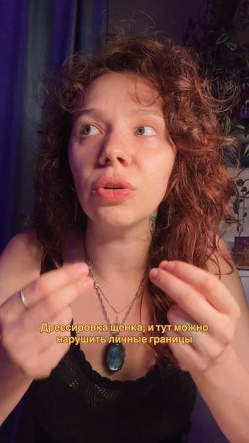 Дрессировка собак