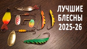 🔥 Они РЕАЛЬНО ловят! ТОП-5 БЛЕСЕН на ЩУКУ: обзор, рабочие проводки. Щучий выбор в 2025 🔥