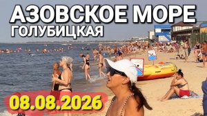 Голубицкая - Что происходит на пляжах и в море прямо сейчас? 🍤 Креветки даром