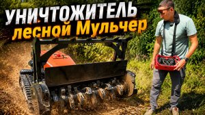 Как работает ЭВОЛЮЦИЯ: уничтожение травы, кустарника и поросли...