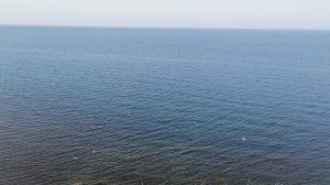 Анапа сегодня 💕 Море супер👍 8 августа 2026