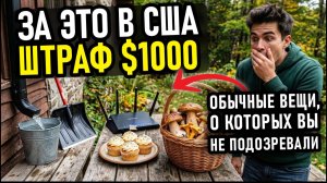 У нас — норма, в США — ШТРАФ: 18 привычек, которые погубят вас!