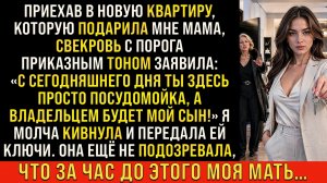 Истории из жизни/С сегодняшнего дня ты здесь просто посудоиойка- заявила мне свекровь/Аудиорассказы