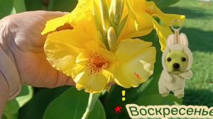 Ещё Немного и Воскресенье🌞.ВОТ так здесь. Полюбуйтесь на территорию отеля.