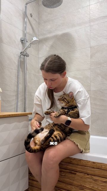 Мамин ворчун 😖😾 лапы моет! Любимая рубрика подписчиков @lex.bengal 🤌🏻😂