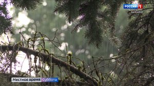 В Кабардино-Балкарии прогнозируют комплекс неблагоприятных явлений